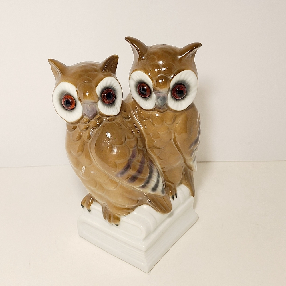 Vintage Western Germany Gerold Porzellan Owls with Glass Eyes On A Book